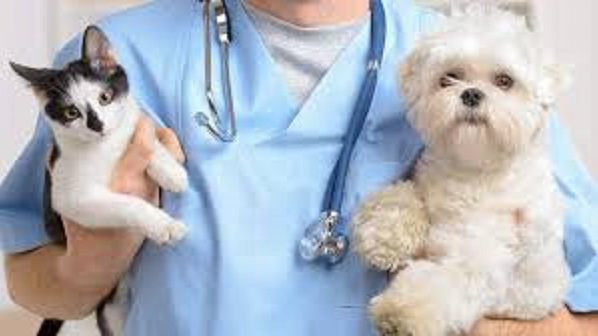 asthenies, katikidia, prosoxi