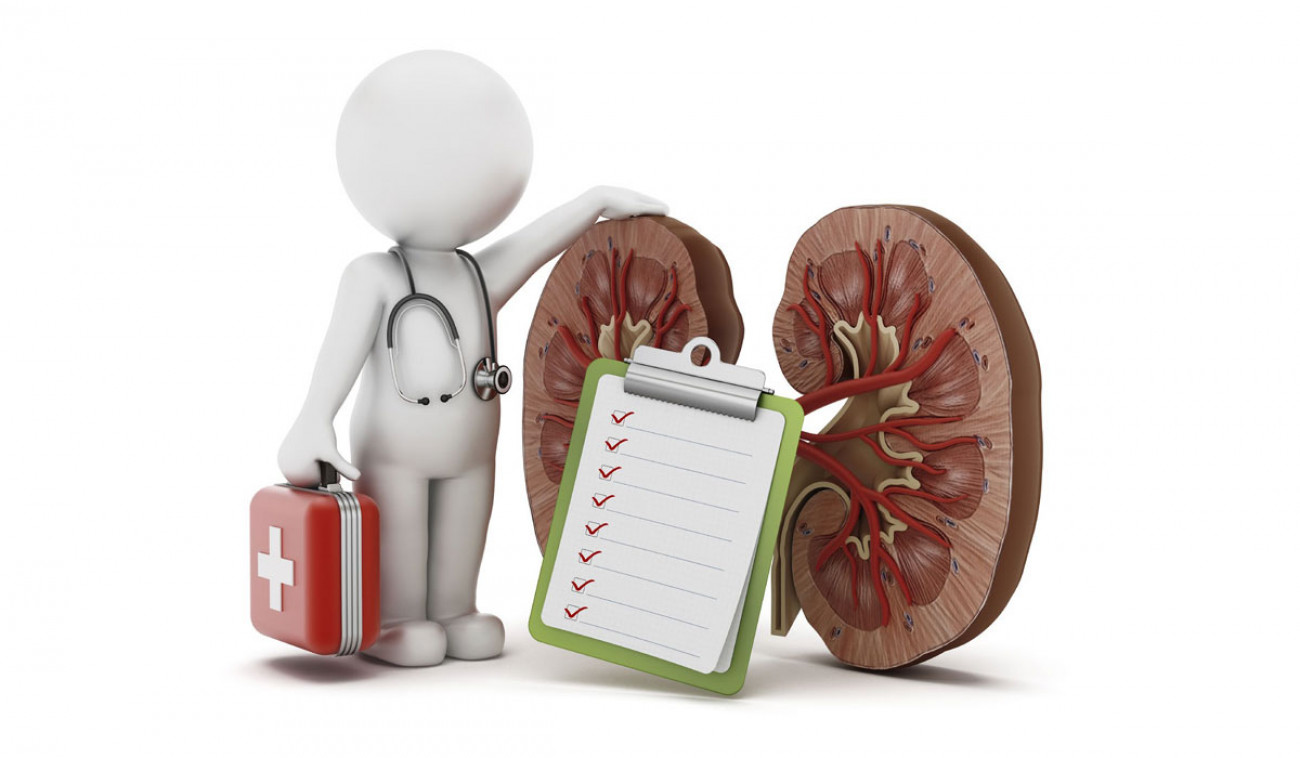 doctor+kidney