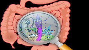 Ιογενείς Γαστρεντερίτιδες Πληροφορίες και Μέτρα Πρόληψης της Ιογενούς Γαστρεντερίτιδας