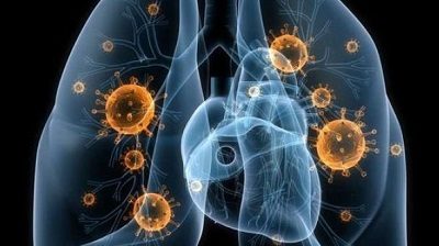 kardia-pneumones-mple