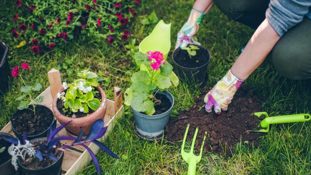 Οι Καθημερινές Δραστηριότητες Μπορεί να Έχουν Παρόμοια Οφέλη με την Άσκηση στο Γυμναστήριο