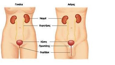 Ουρολοιμώξεις